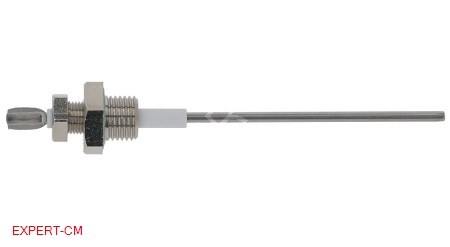 Рівень (електрод) 1/4" L140мм
