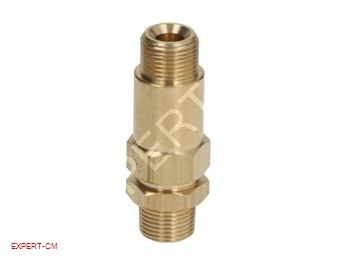 Клапан зворотній (в зборі) 3/8" НР.