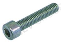 Болт М5 L10мм (головка - шестигранник) (10шт)