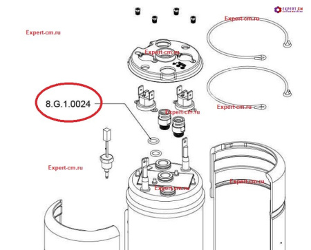 Ущільнювач Dr.Coffee / Liberty's O-ring d9.5мм х 1.5мм